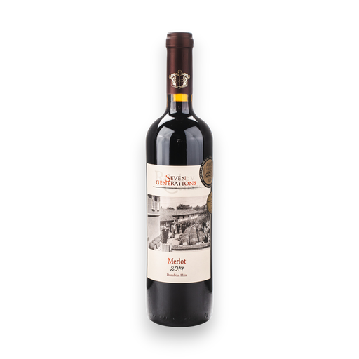 MERLOT 2019 750 ml